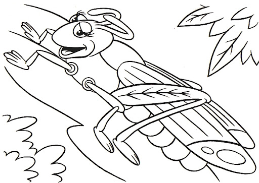 saltamontes_2.jpg