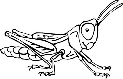saltamontes_7.jpg