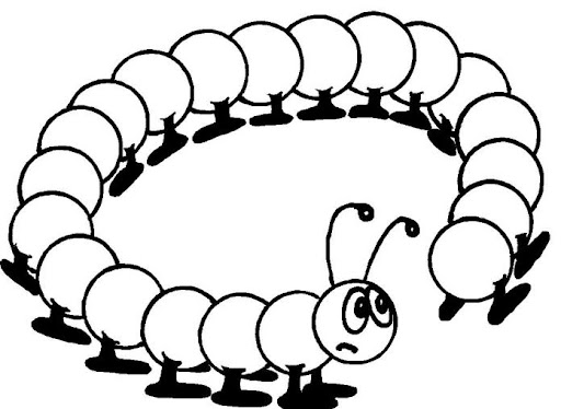 cienpies-3.jpg