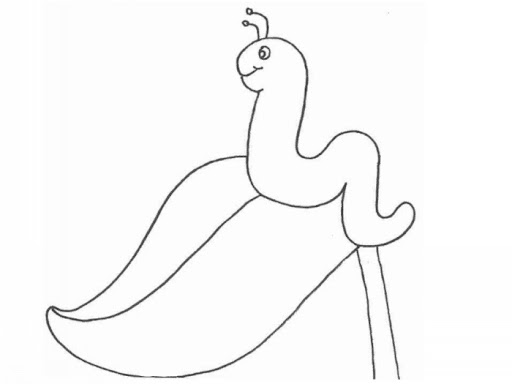 gusano-3.jpg