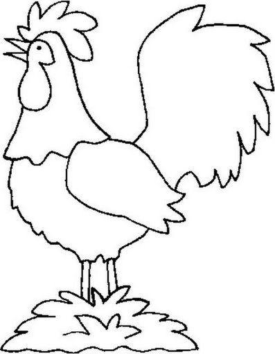 Aves%2520%252899%2529.jpg