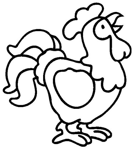 gallo.jpg
