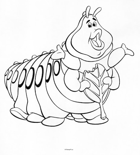 oruga.jpg