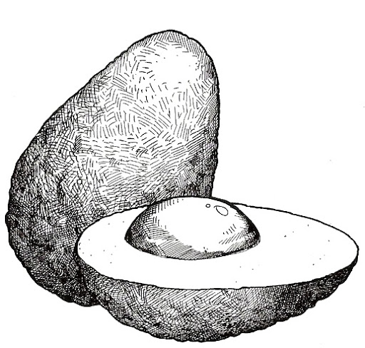 aguacate.jpg