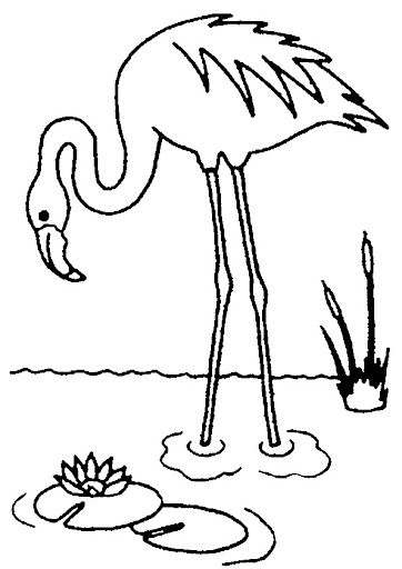 animaatjes-flamingo-88232.jpg