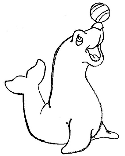 FOCA%25202.gif.jpg