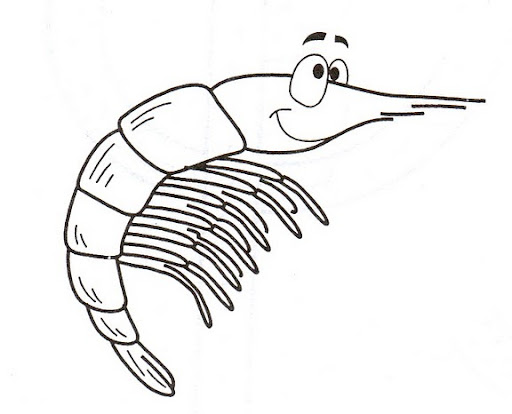 gamba.jpg