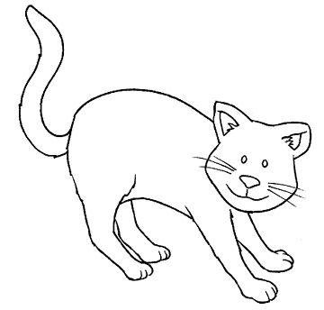 gato.gif.jpg