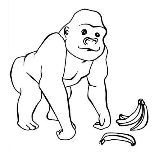 coloriage-gorille-banane.gif.jpg