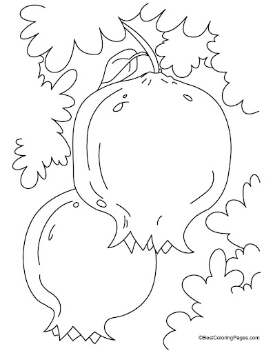 pomegranate-coloring-page-3.jpg