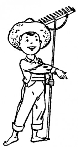 4941015_f260.jpg