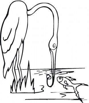 crane-1-coloring-page.jpg