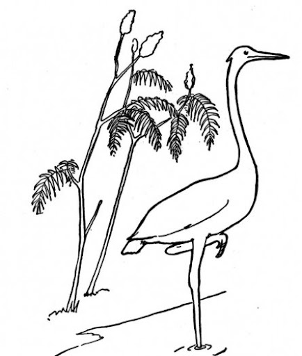 crane-10-coloring-page.jpg