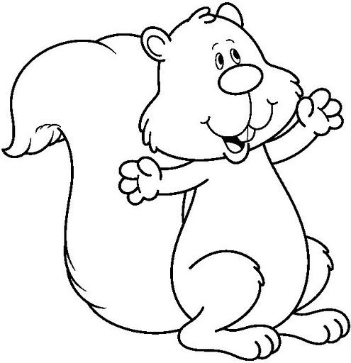 SQUIRREL1_BW.jpg