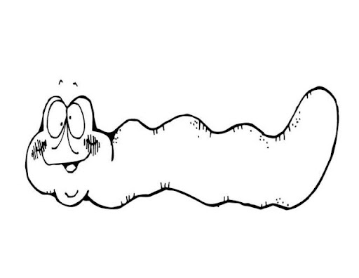Insects-Inch-worm.jpg