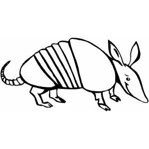 Smiling_Armadillo.jpg