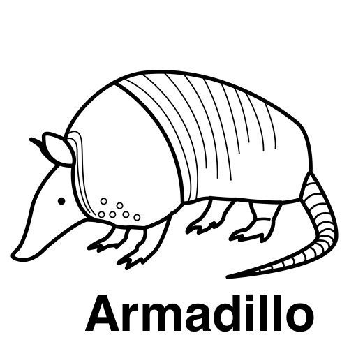 animal_11.jpg