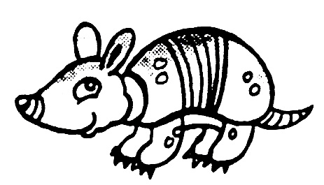 tatu2.jpg