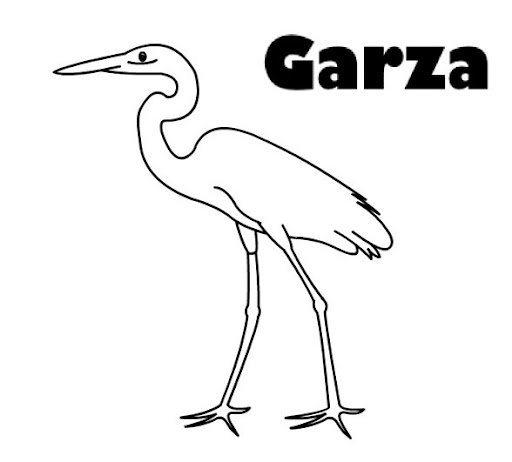 egret.jpg