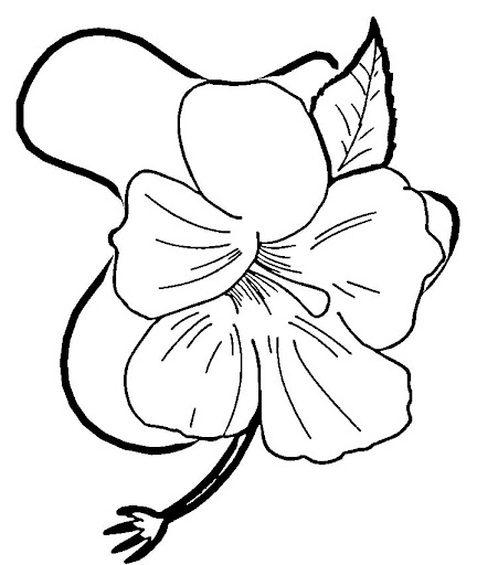 hibiscus-flower-coloring-page.jpg