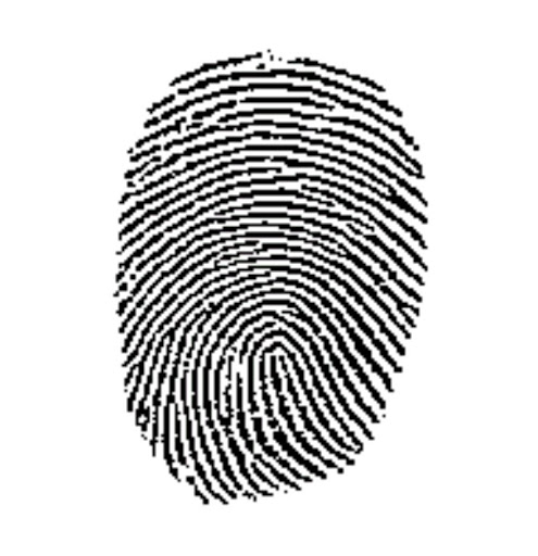 fingerprint_0.jpg