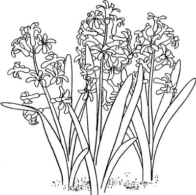 500cup58596_5.jpg