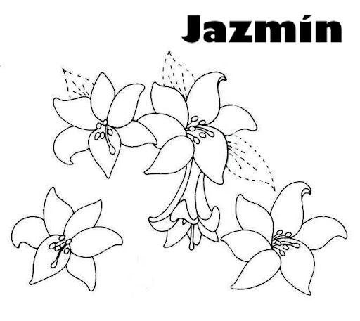 jazmin.jpg