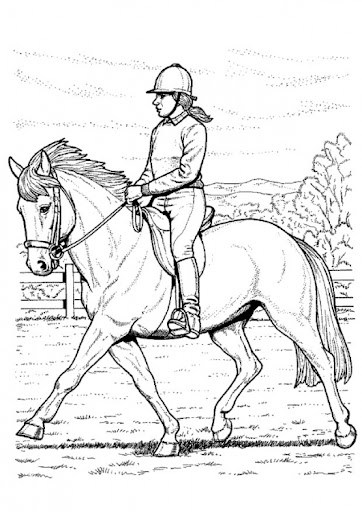 Reiter_auf-Pferd-707466.jpg