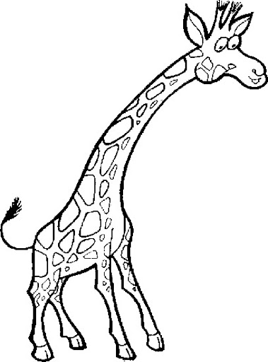 200783141826536.jpg