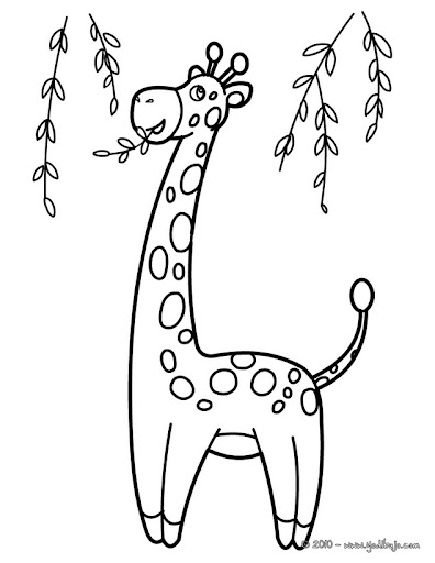 girafe-2-01-pwz_vju.jpg