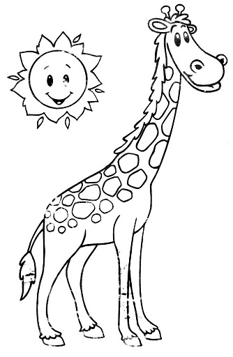 img238.jpg