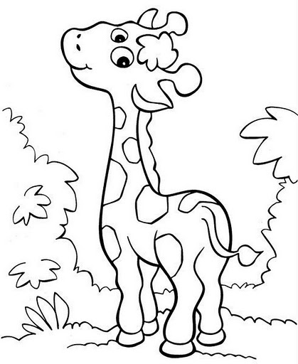 Girafinha.jpg
