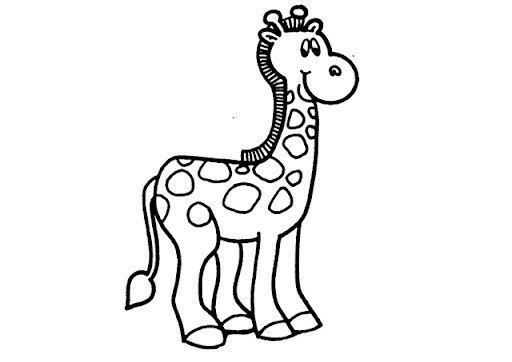 giraffe.jpg